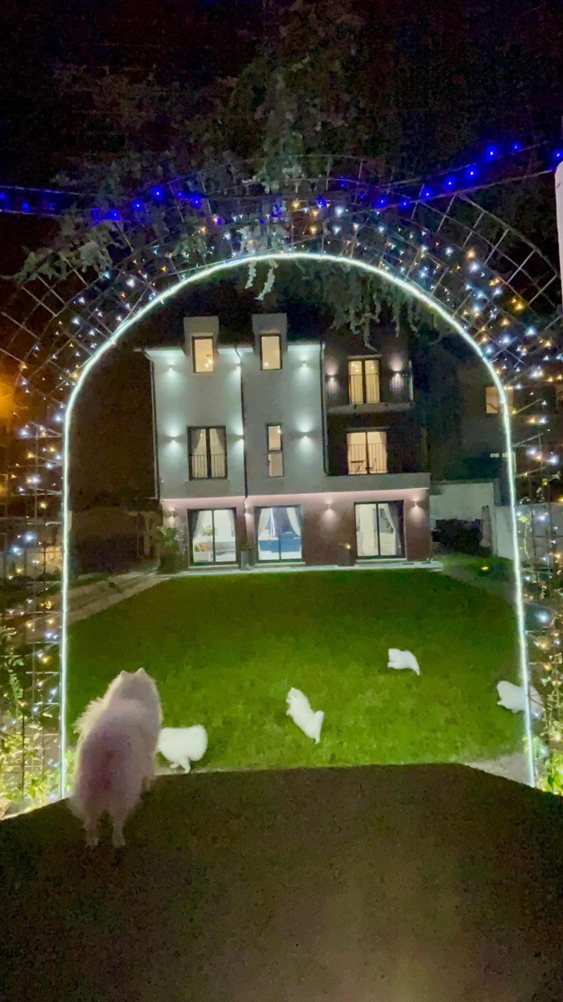 Paris Dream Villa Villejuif Zewnętrze zdjęcie